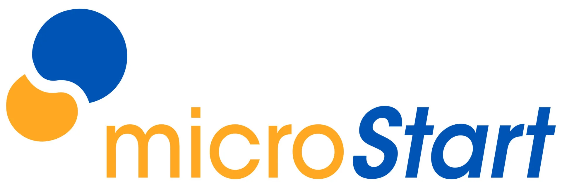 MIC LOGO RGB POS scaled